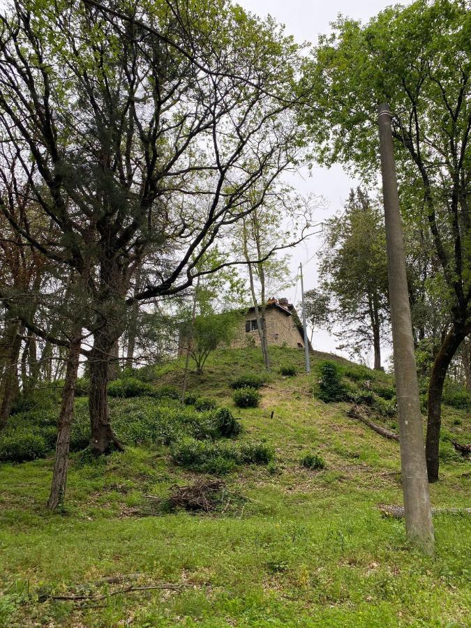 Naturemugello Oasi Naturista Dicomano Экстерьер фото